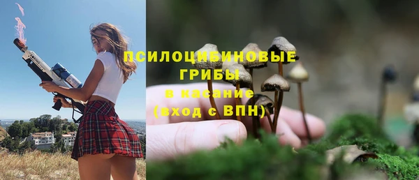 каннабис Алексеевка