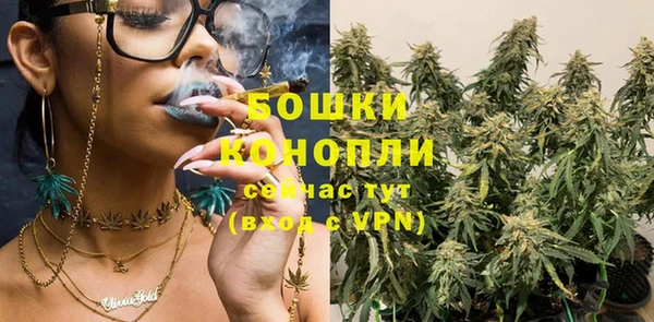 PSILOCYBIN Алексин