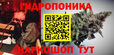 мдпв Вязьма