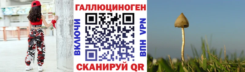 где найти наркотики Махачкала shop официальный сайт Галлюциногенные грибы прущие грибы
