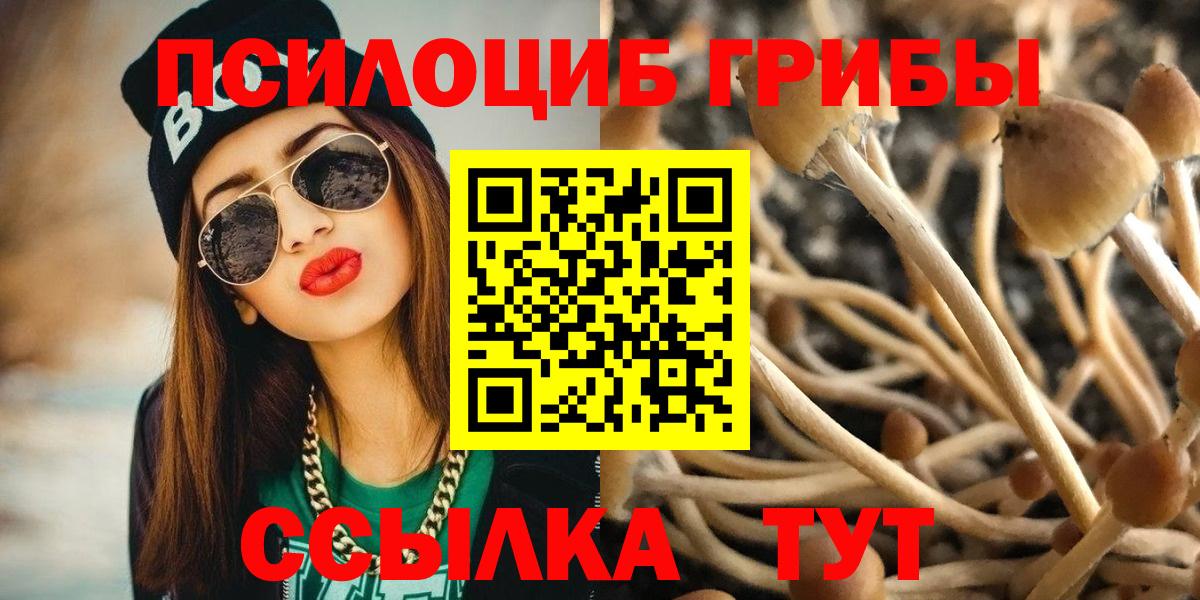 как найти закладки  Галлюциногенные грибы прущие грибы  Псилоцибиновые грибы Psilocybe  Вход с VPN  Махачкала 