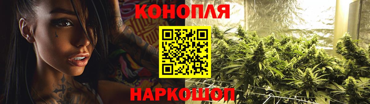 МАРИХУАНА план Махачкала